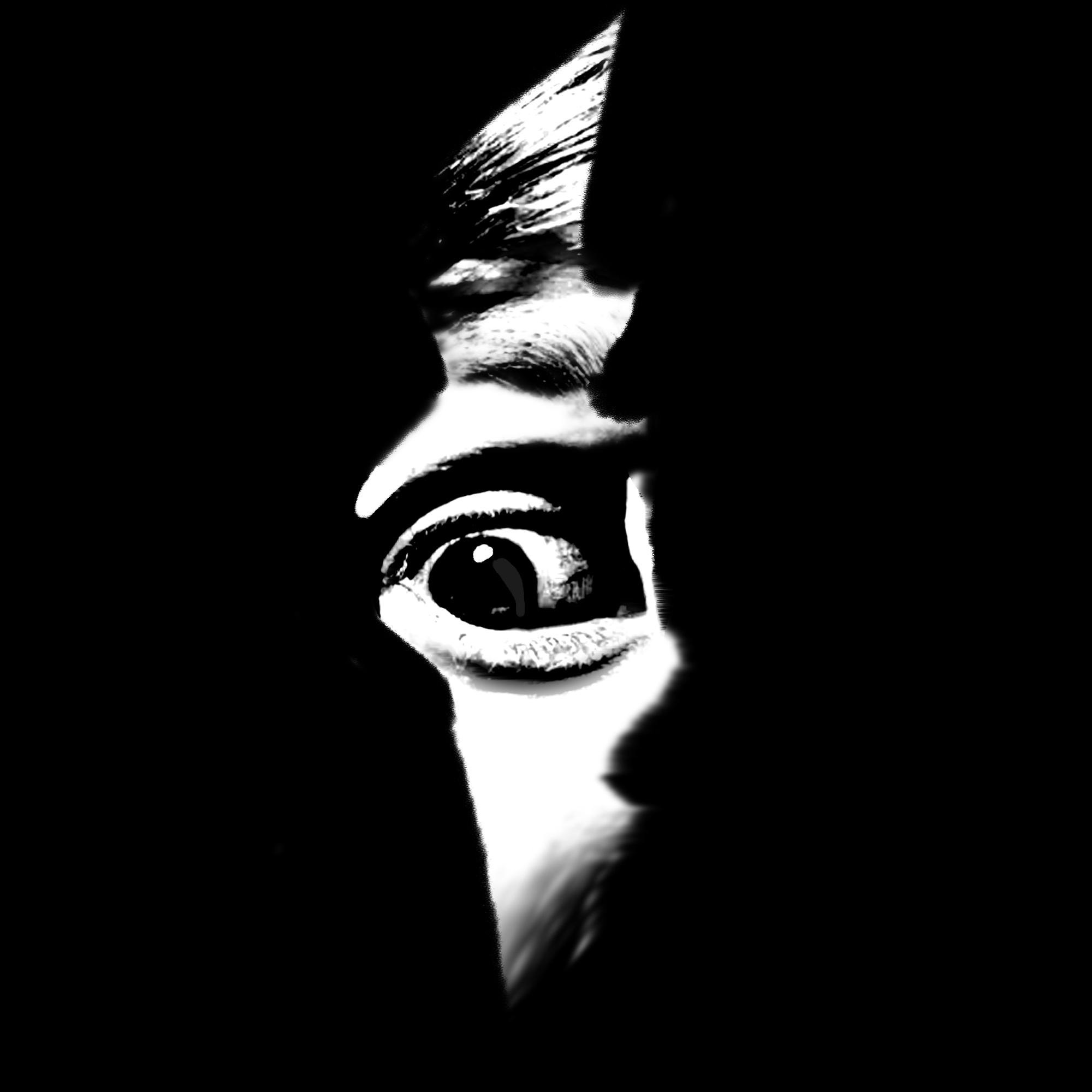 El ojo en la grieta